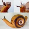 99 _snail